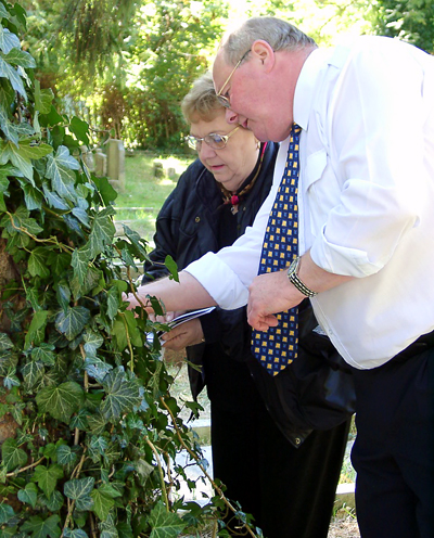 Ron Brind helps Elizabeth Jenkins select an ivy leaf from a tree near the grave of C. S. Lewis. Photo by Ferrell Jenkins. BiblicalStudies.info.